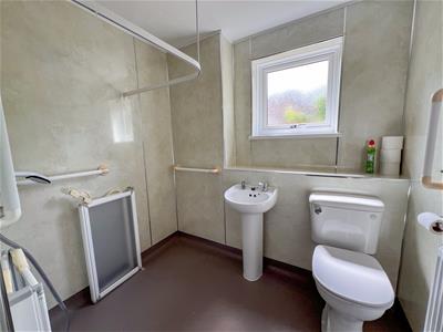 Picture 7
